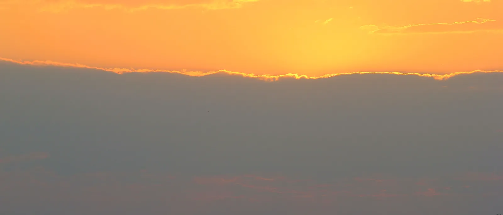 Abendlicht über der Savanne, Schirmakazien am Horizont